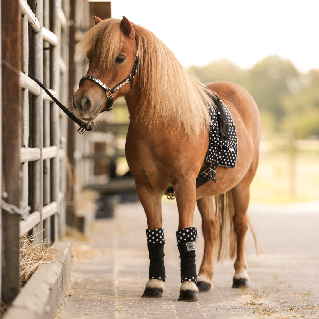 Cavezza Per Cavallo In Legno Mini Shetty – Regolabile In Nylon, Colore Rosa, Per Cavalli Giocattolo E Pony